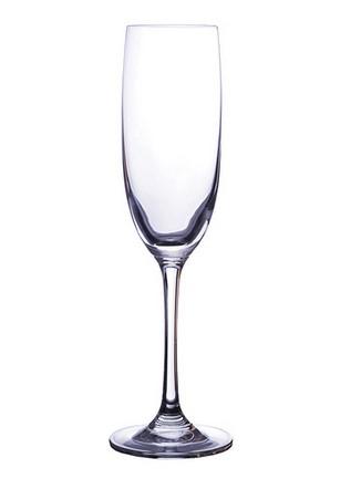 CHAMPAGNE FLUTE 225ML