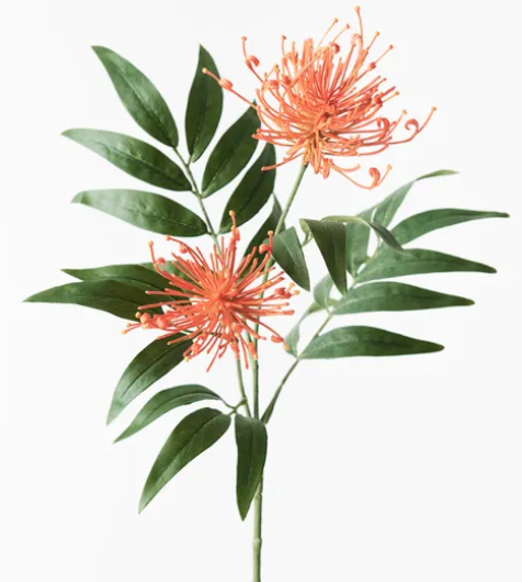 GREVILLEA SPRAY ORANGE