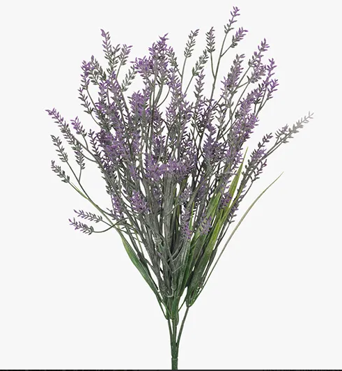 LAVENDER BUSH PURPLE