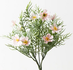 COSMOS BUSH LIGHT PINK