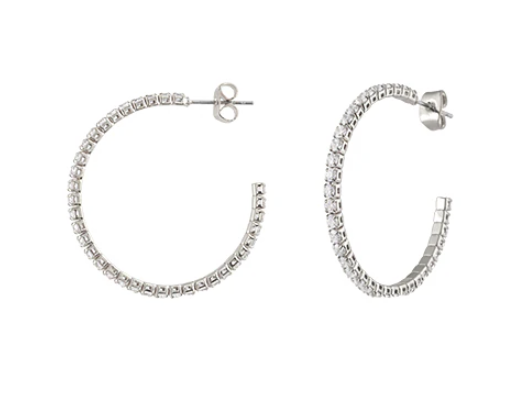 S STEEL LUCIE EARRINGS