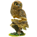 TRINKET BOX - BOOBOOK OWL