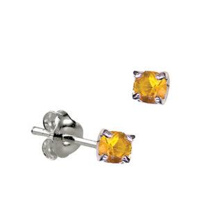 SS CRYSTAL BIRTHSTONE EARRING - NOV